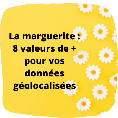 Géodonnées :  la marguerite aux 8 valeurs de plus à intégrer à vos études